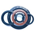 Custom NBR Nitrile Rubber Tc Tb Sc Sb Ftamework Oil Seal